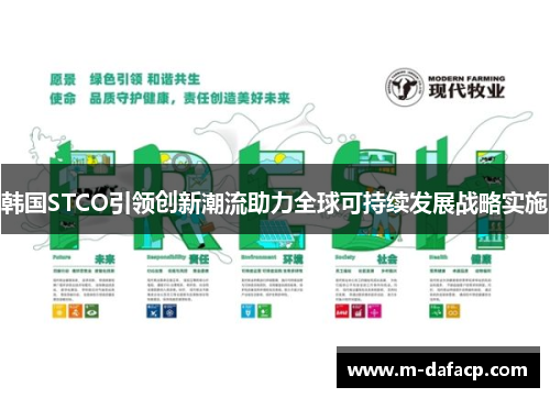 韩国STCO引领创新潮流助力全球可持续发展战略实施
