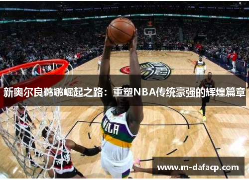 新奥尔良鹈鹕崛起之路：重塑NBA传统豪强的辉煌篇章