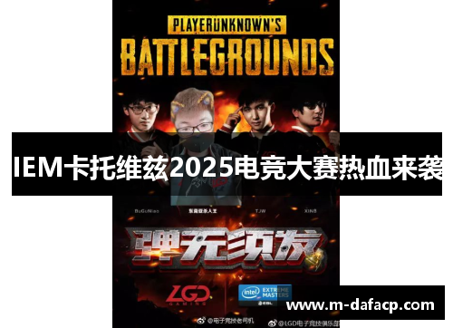 IEM卡托维兹2025电竞大赛热血来袭
