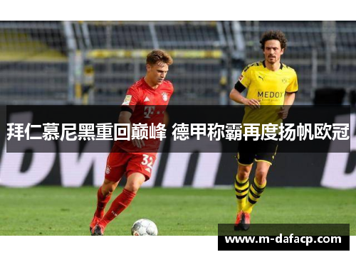 拜仁慕尼黑重回巅峰 德甲称霸再度扬帆欧冠