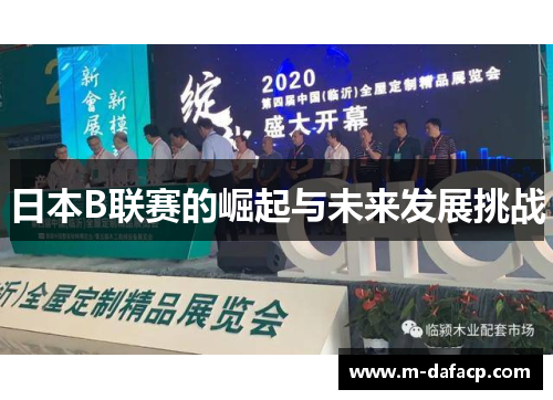 日本B联赛的崛起与未来发展挑战
